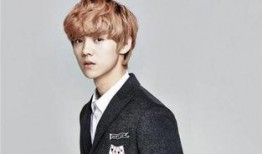 爆料鹿晗姐姐的新闻稿件,揭秘明星背后的故事